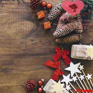 Vải phông nền giáng sinh FO2836