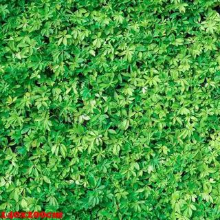 Vải phông nền hoa lá FO1079