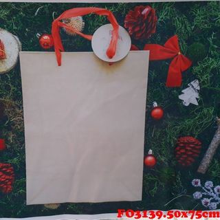 Vải phông nền giáng sinh FO3139