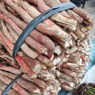 Chuyên trị thoái hoá cột sống xuống khớp