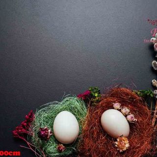 Vải phông nền giáng sinh fo12335