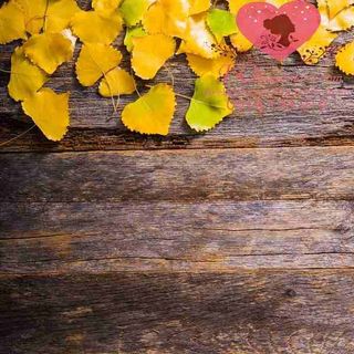 Vải phông nền hoa lá fo3253