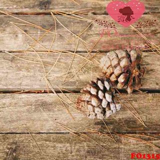 Vải phông nền hoa lá FO1315