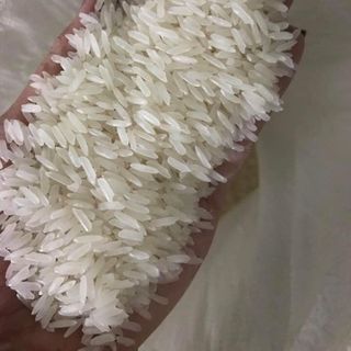 Gạo đặc sản Điện Biên giá sỉ