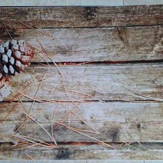 Vải phông nền hoa lá FO1315