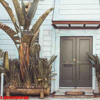 Vải phông nền cảnh trí Fo11711