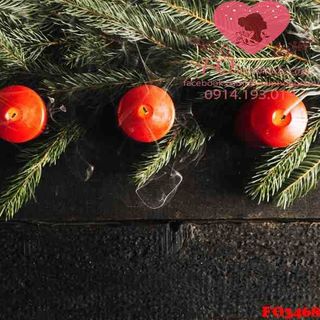 Vải phông nền giáng sinh FO3468