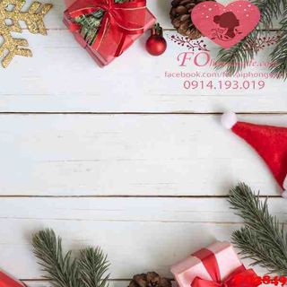 Vải phông nền giáng sinh FO2849