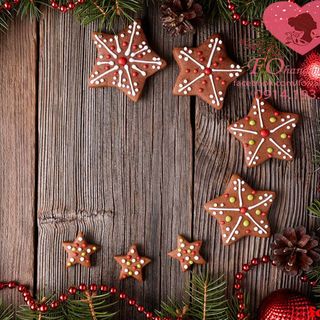 Vải phông nền giáng sinh fo12757