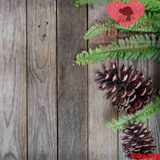 Vải phông nền giáng sinh FO3483