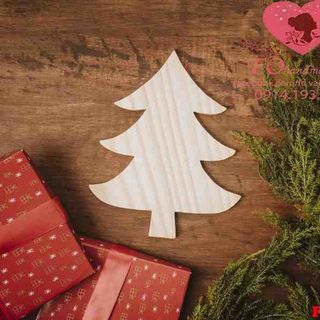 Vải phông nền giáng sinh FO3170