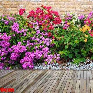 Vải phông nền cảnh trí Fo11547