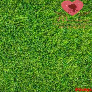 Vải phông nền hoa lá FO1851