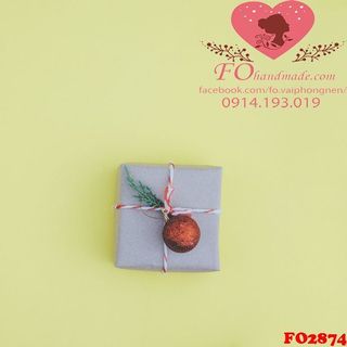 Vải phông nền giáng sinh FO2874