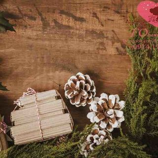 Vải phông nền giáng sinh FO3183