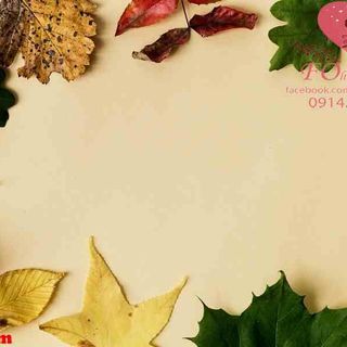 Vải phông nền hoa lá FO1183