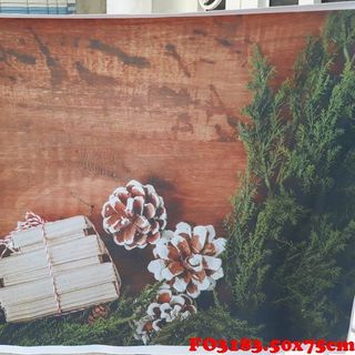 Vải phông nền giáng sinh FO3183