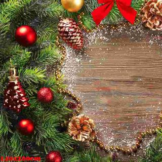 Vải phông nền giáng sinh FO13801