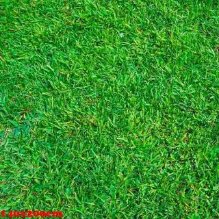 Vải phông nền hoa lá FO1934