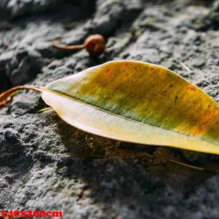 Vải phông nền hoa lá FO3261