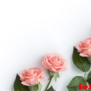 Vải phông nền hoa lá fo10904