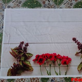 Vải phông nền hoa lá FO4209