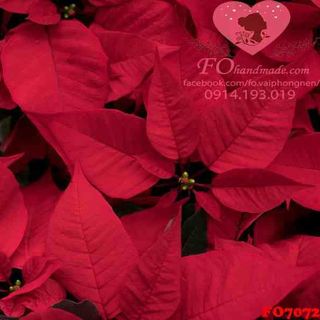 Vải phông nền hoa lá FO7072