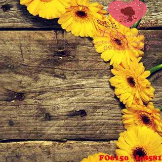 Vải phông nền hoa lá FO6150-fo8581