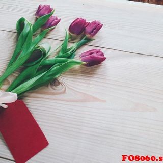 Vải phông nền hoa lá FO8060