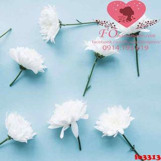 Vải phông nền hoa lá fo3313