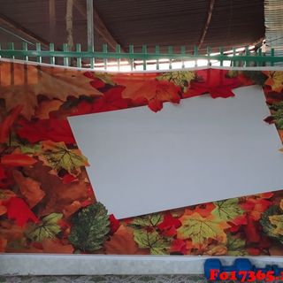 Vải phông nền hoa lá Fo17365