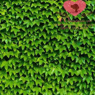 Vải phông nền hoa lá FO13679