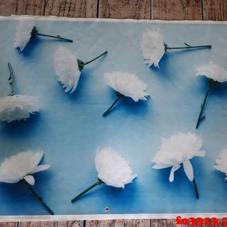 Vải phông nền hoa lá fo3313