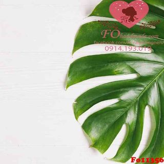 Vải phông nền hoa lá Fo11356