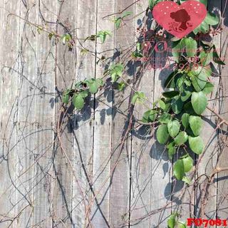 Vải phông nền hoa lá FO7081