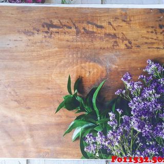 Vải phông nền hoa lá Fo11532