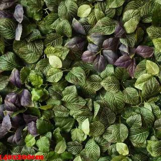 Vải phông nền hoa lá Fo14640