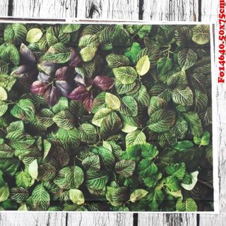 Vải phông nền hoa lá Fo14640