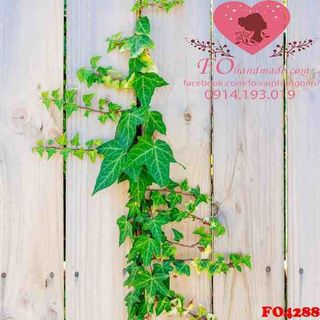 Vải phông nền hoa lá FO4288