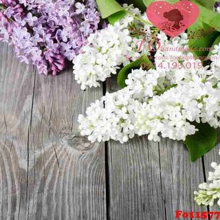 Vải phông nền hoa lá Fo11577