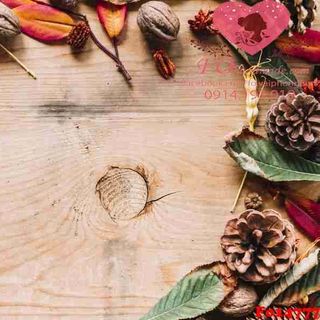 Vải phông nền hoa lá Fo14777