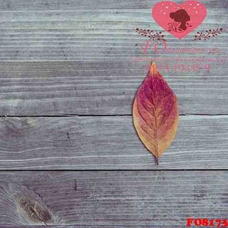 Vải phông nền hoa lá FO8173