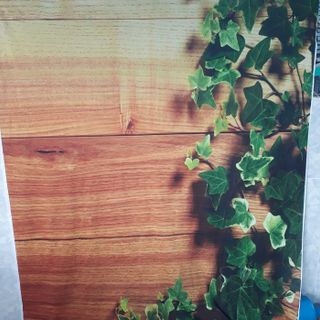 Vải phông nền hoa lá FO13793