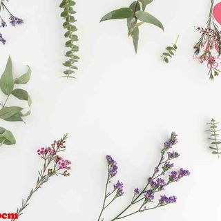 Vải phông nền hoa lá FO6240