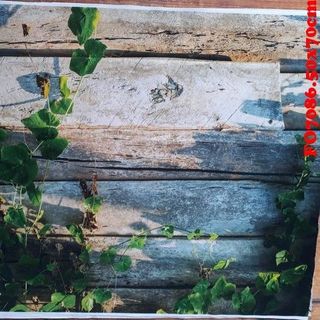 Vải phông nền hoa lá FO7086