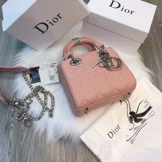 Túi diorr