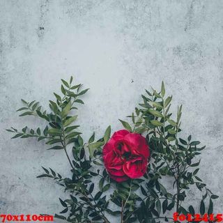 Vải phông nền hoa lá fo12415