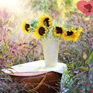 Vải phông nền hoa lá FO8196