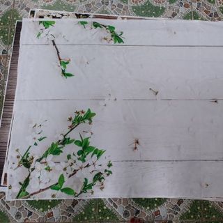 Vải phông nền hoa lá FO20193