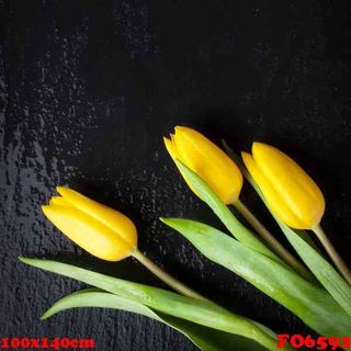 Vải phông nền hoa lá FO6592